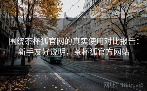围绕茶杯狐官网的真实使用对比报告：新手友好说明，茶杯狐官方网站