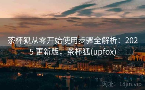 茶杯狐从零开始使用步骤全解析：2025 更新版，茶杯狐(upfox)