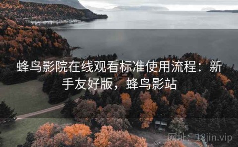 蜂鸟影院在线观看标准使用流程：新手友好版，蜂鸟影站