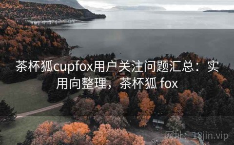 茶杯狐cupfox用户关注问题汇总：实用向整理，茶杯狐 fox