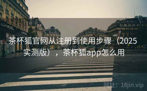 茶杯狐官网从注册到使用步骤（2025 实测版），茶杯狐app怎么用