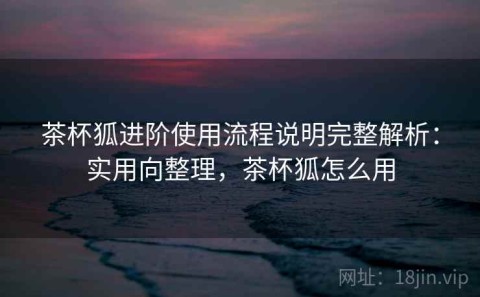 茶杯狐进阶使用流程说明完整解析：实用向整理，茶杯狐怎么用