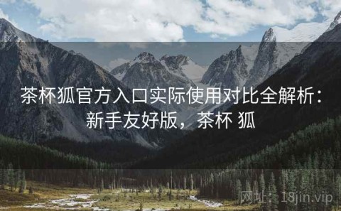 茶杯狐官方入口实际使用对比全解析：新手友好版，茶杯 狐