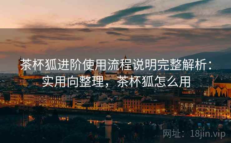茶杯狐进阶使用流程说明完整解析：实用向整理，茶杯狐怎么用